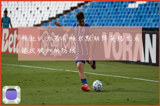 帕杜认为若有帕尔默助阵英格兰或能攻破加纳防线