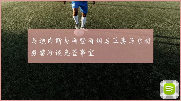 乌迪内斯与海登海姆后卫奥马尔特劳雷洽谈免签事宜